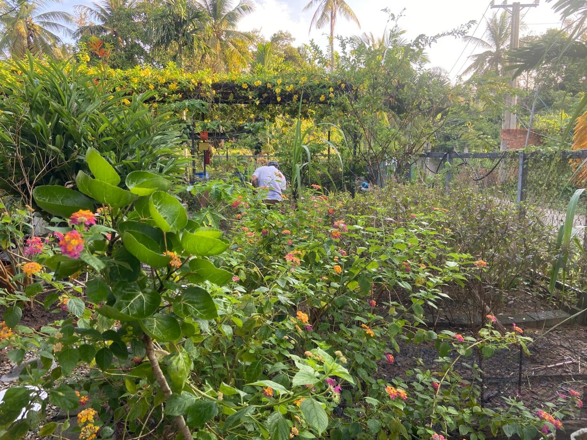Lana Land Homestay Phú Quốc Eksteriør billede