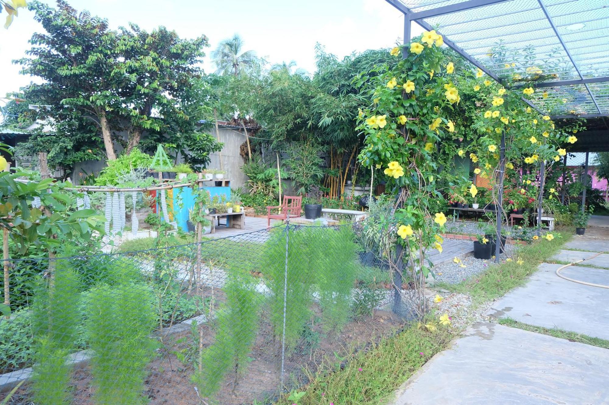Lana Land Homestay Phú Quốc Eksteriør billede
