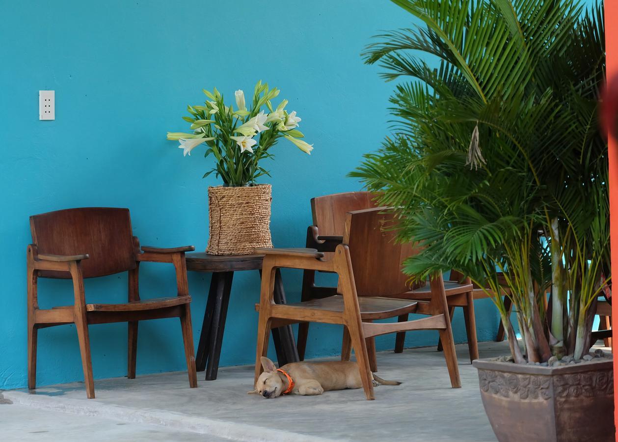 Lana Land Homestay Phú Quốc Eksteriør billede