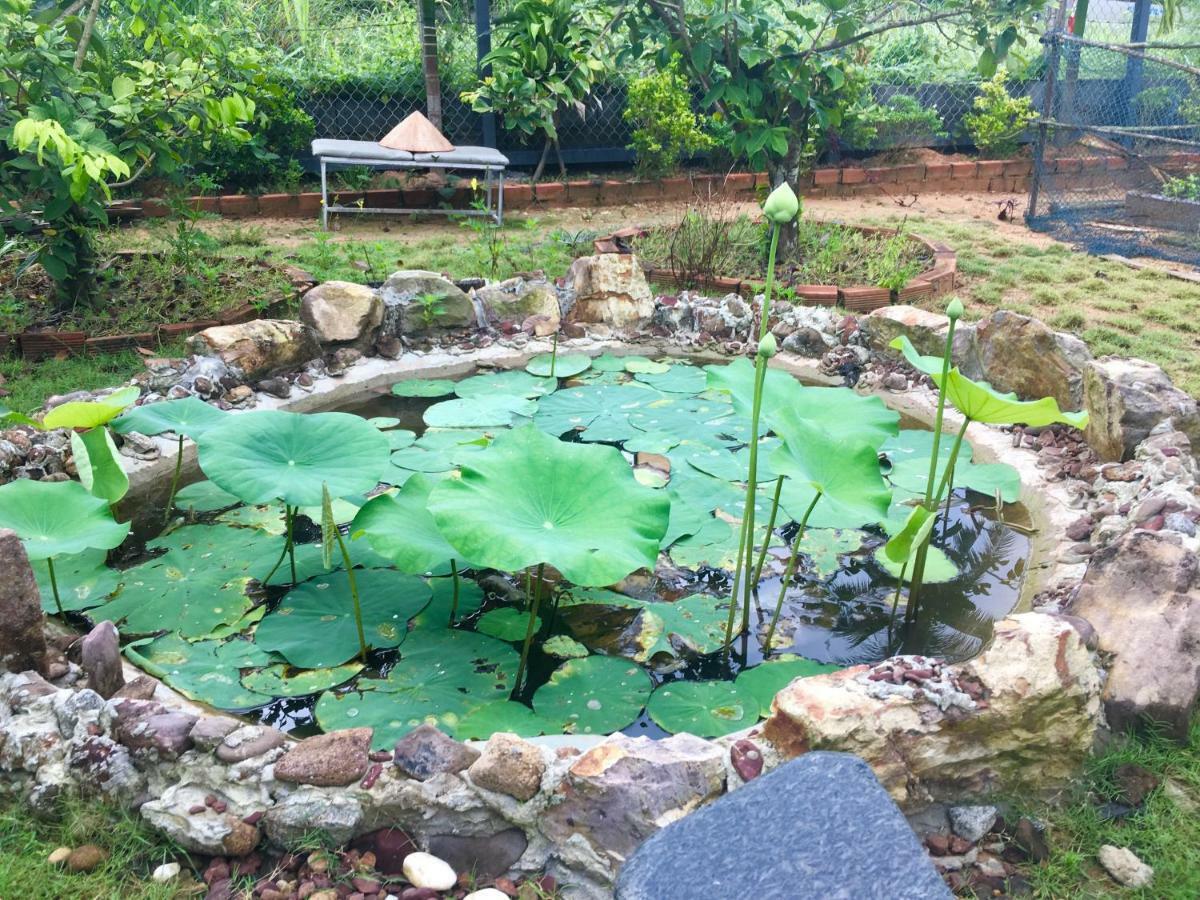 Lana Land Homestay Phú Quốc Eksteriør billede
